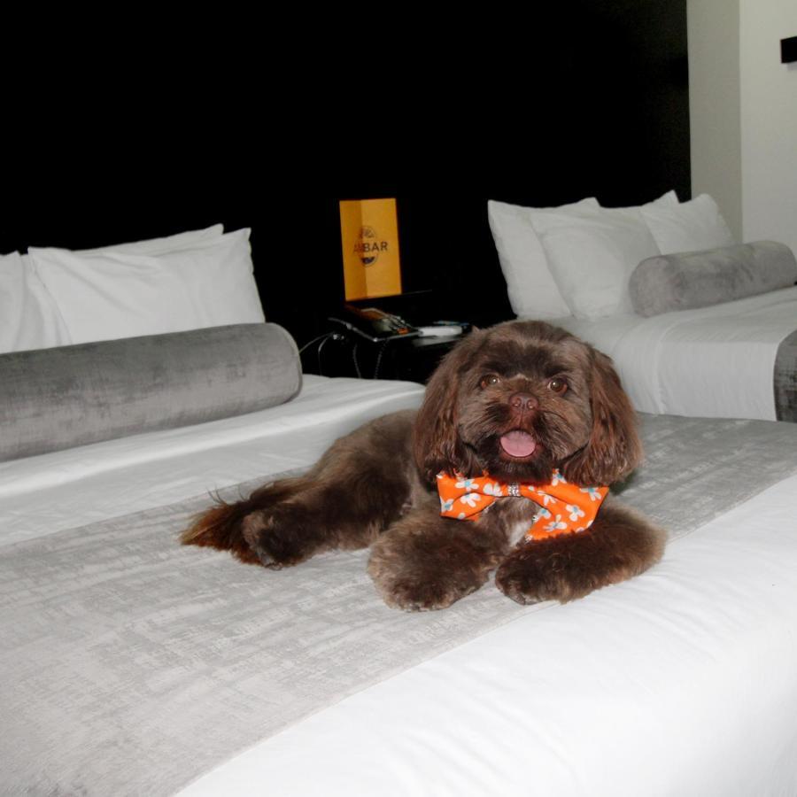 Stay Inn Hotels Рейноса Екстериор снимка